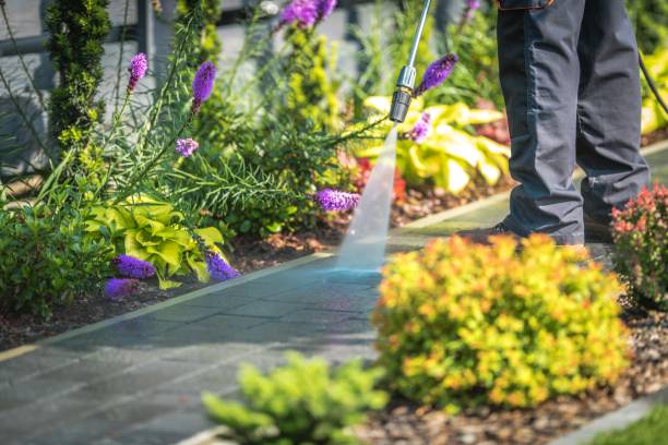 Best Dumpster Area Cleaning  in Derby, KS
